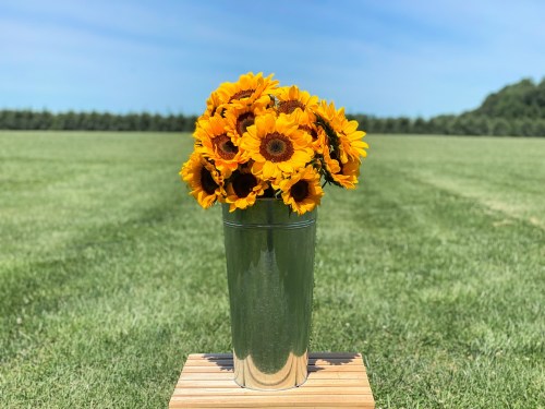 A bouquet of bright sunflowers in a silver vase, set on a wooden stand in a grassy field under a clear blue sky.