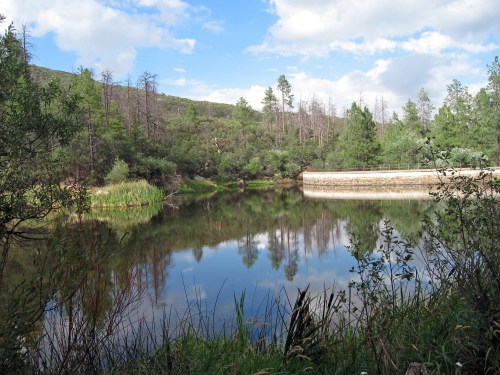 A serene landscape featuring a calm lake reflecting trees and clouds, surrounded by lush greenery and a stone wall.