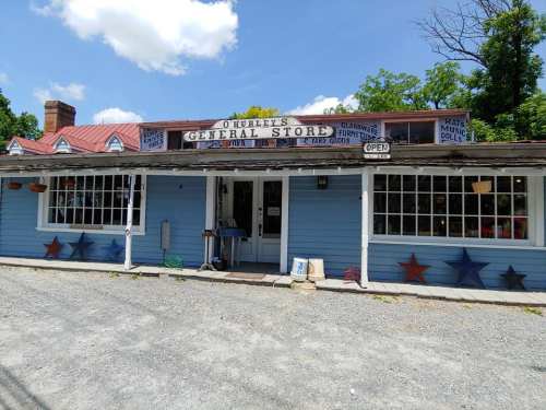 A blue general store with a red roof, featuring a sign that reads "O'Riley's General Store" and colorful star decorations.