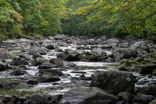 A serene river flows through a rocky landscape, surrounded by lush green trees in a peaceful natural setting.