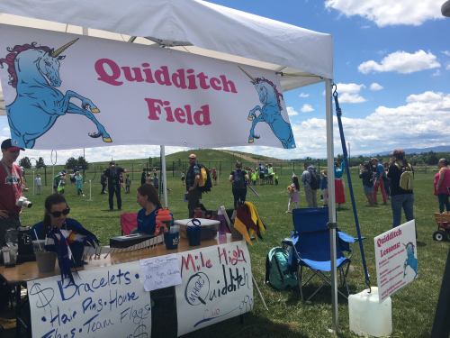 A tent labeled "Quidditch Field" with people and activities in the background, set in a grassy area under a blue sky.