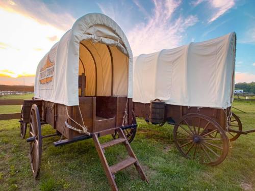 Two covered wagons on a grassy field, with a colorful sunset in the background.