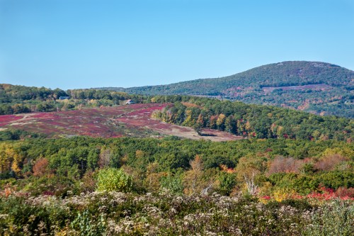 A scenic view of rolling hills with vibrant autumn foliage and a clear blue sky.