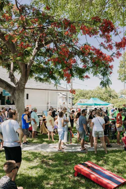 A crowd of people gathers under a flowering tree at a sunny outdoor event, with tents and a building in the background.