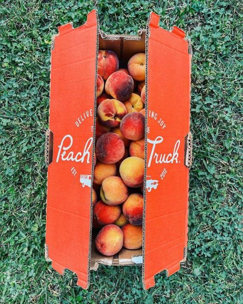 A cardboard box labeled "Peach Truck" filled with fresh peaches, resting on green grass.