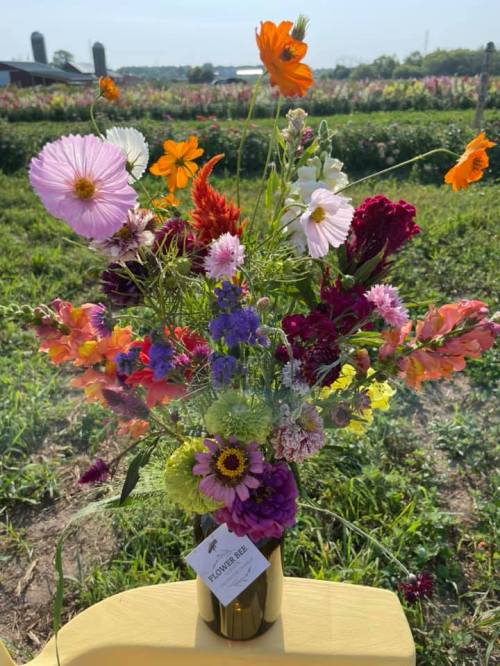 A vibrant bouquet of mixed flowers in a vase, set against a lush green field and blue sky.