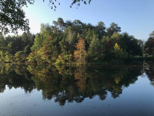 A serene lake reflecting a colorful forest with trees in shades of green, yellow, and orange under a clear blue sky.