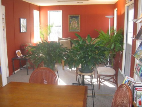 Cozy room with red walls, plants, a wooden table, and seating areas, creating a warm and inviting atmosphere.