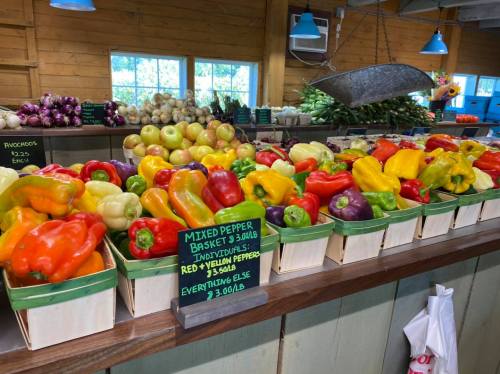 Colorful display of mixed peppers in baskets at a market, with a sign listing prices and varieties.