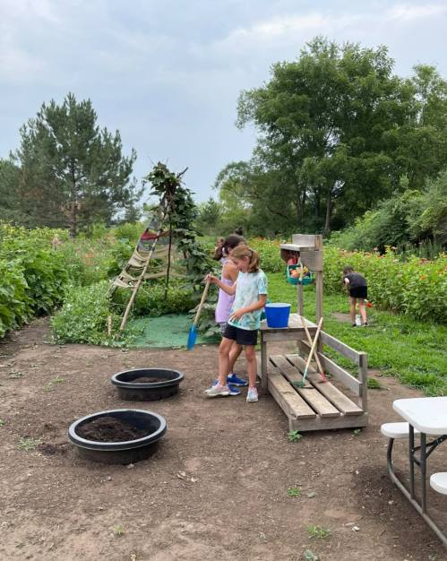Children working in a garden, planting and tending to plants, with tools and a wooden bench in a lush green setting.