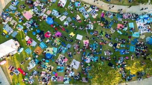 Aerial view of a crowded park with people sitting on blankets and enjoying a sunny day.