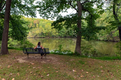 A person sits on a bench by a serene lake, surrounded by lush green trees and autumn leaves.