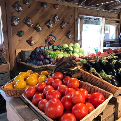 A vibrant display of fresh vegetables, including tomatoes, peppers, and greens, in a rustic market setting.