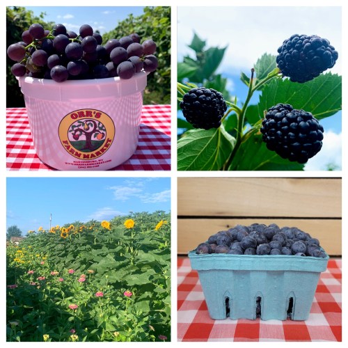 A collage featuring grapes, blackberries, sunflowers, and blueberries in baskets, showcasing fresh produce at a farm market.