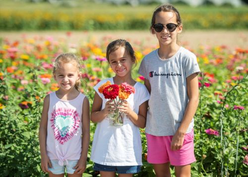 Three girls stand in a flower field, smiling and holding a jar of colorful flowers. Bright blooms surround them.