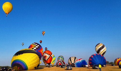 Colorful hot air balloons ascend against a clear blue sky, with several parked vehicles on the grassy field below.
