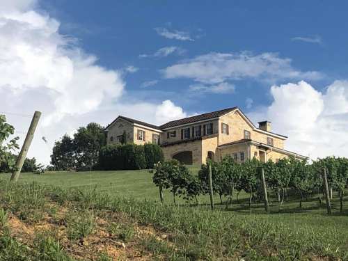 A picturesque house on a hill surrounded by lush greenery and vineyards under a blue sky with fluffy clouds.