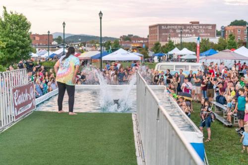 A crowd watches as a dog jumps into a splash pool during an outdoor event, with tents and buildings in the background.