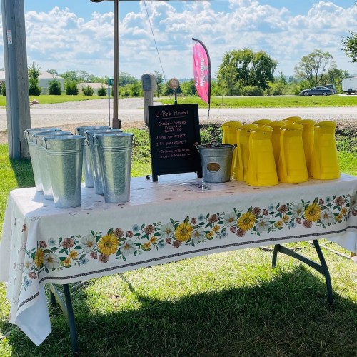 A table with a floral tablecloth displays metal buckets and yellow containers, with a sign for U-Pick flowers nearby.