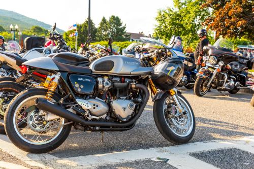 A close-up of a Triumph motorcycle parked among other bikes, with a scenic background of trees and mountains.