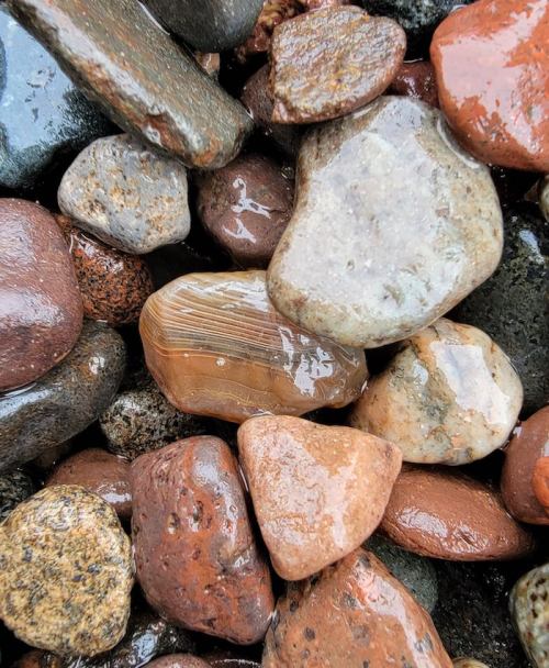 A close-up of various smooth, wet stones in earthy tones, showcasing their textures and colors.