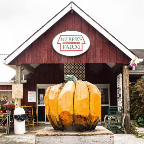 A large carved pumpkin sits in front of Weber's Farm, a red barn-style building with a sign above the entrance.