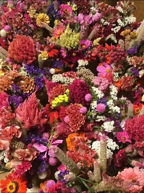A vibrant arrangement of various colorful flowers in shades of pink, purple, orange, and white.