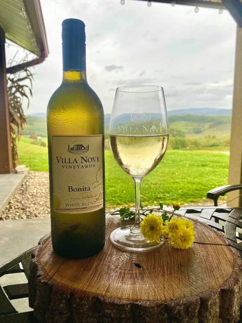 A bottle of Villa Nove Bonita white wine next to a glass of wine on a wooden slice, with a scenic vineyard background.