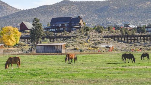 A scenic landscape featuring grazing horses in a green field, with a house and mountains in the background.