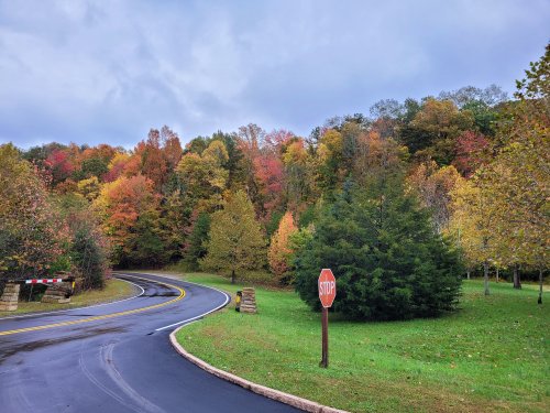 A winding road with a stop sign, surrounded by vibrant autumn foliage and cloudy skies.