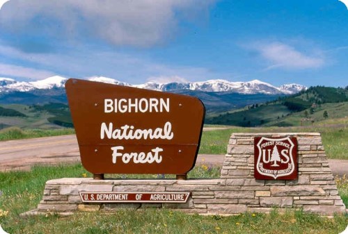 Sign for Bighorn National Forest with mountains in the background and clear blue sky.