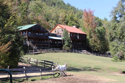 A scenic view of two rustic cabins surrounded by trees, with a white horse grazing in the foreground.