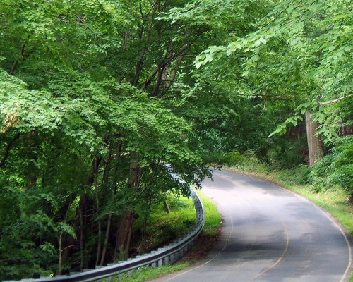 A winding road surrounded by lush green trees and foliage.