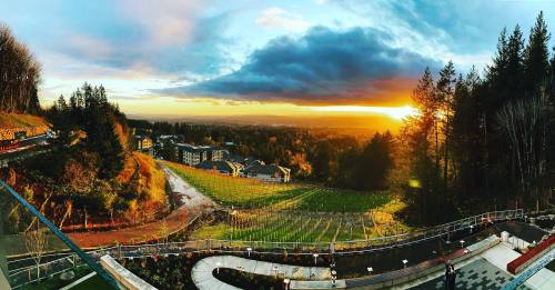 A panoramic view of a sunset over a vineyard and hillside, with trees and buildings in the foreground.