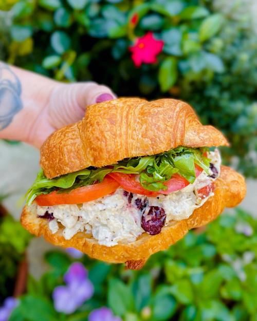A hand holding a croissant sandwich filled with chicken salad, tomatoes, arugula, and cranberries, with greenery in the background.