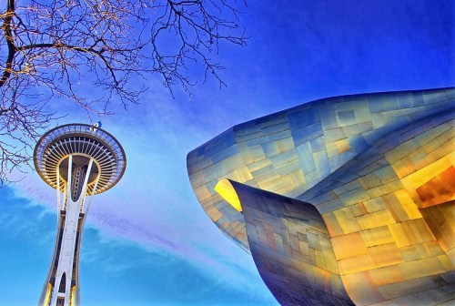 The Space Needle and the Museum of Pop Culture against a vibrant blue sky, with tree branches in the foreground.