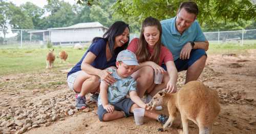 A family interacts with a kangaroo while feeding it, enjoying a sunny day at a farm.