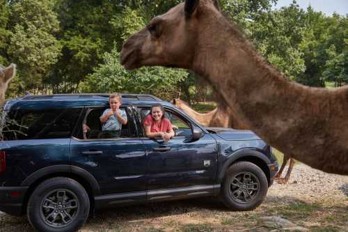 A boy and a woman smile from a car as a camel approaches them in a scenic outdoor setting.