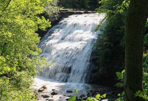 A cascading waterfall surrounded by lush green trees and rocks, creating a serene natural scene.