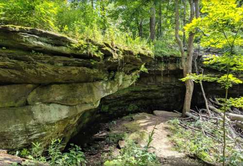 A rocky cliff surrounded by lush greenery and trees, with a small path leading through the forest.