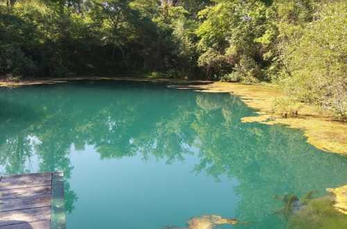 A serene pond surrounded by lush greenery, with clear turquoise water reflecting the trees above.