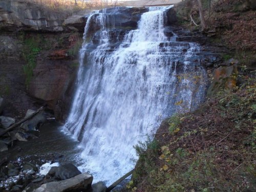 A cascading waterfall flows over rocky cliffs into a serene pool, surrounded by lush greenery and autumn leaves.