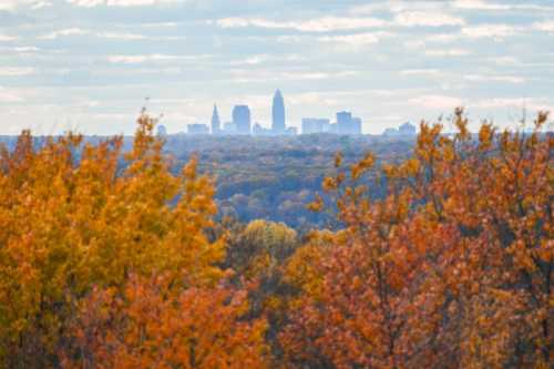 A distant city skyline is framed by vibrant autumn foliage in the foreground under a cloudy sky.