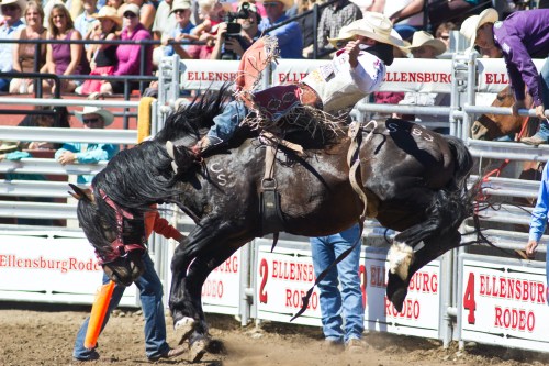 A cowboy rides a bucking horse at a rodeo, surrounded by spectators and colorful banners. Dust flies in the air.
