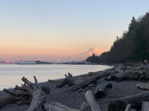 A serene beach scene with driftwood, calm water, and a snow-capped mountain in the background during sunset.