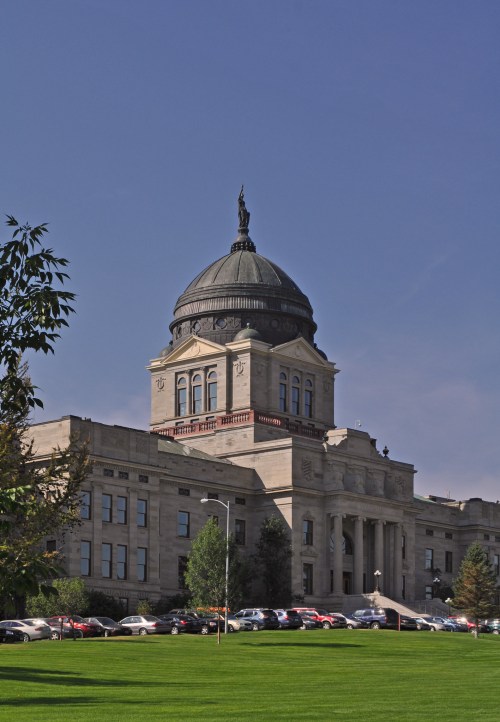 Historic building with a large dome and statue on top, surrounded by green grass and parked cars under a clear blue sky.
