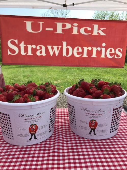 Two baskets of fresh strawberries sit under a sign that reads "U-Pick Strawberries" at a farm stand.