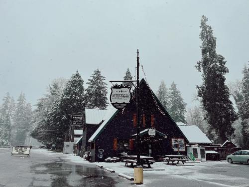 A snow-covered building with a triangular roof, surrounded by tall trees, on a quiet street in winter.