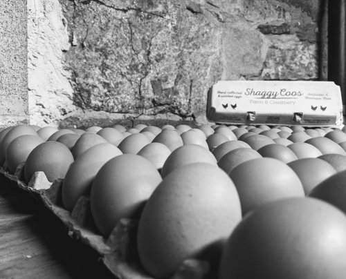 A close-up of a carton filled with brown eggs, with a rustic stone wall in the background.