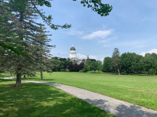 A grassy park with a pathway, featuring trees and a distant building with a dome under a clear blue sky.